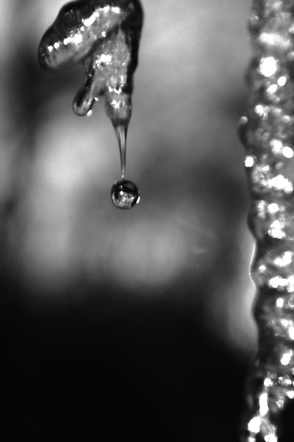 2011 01 13 IMG 16861ebw